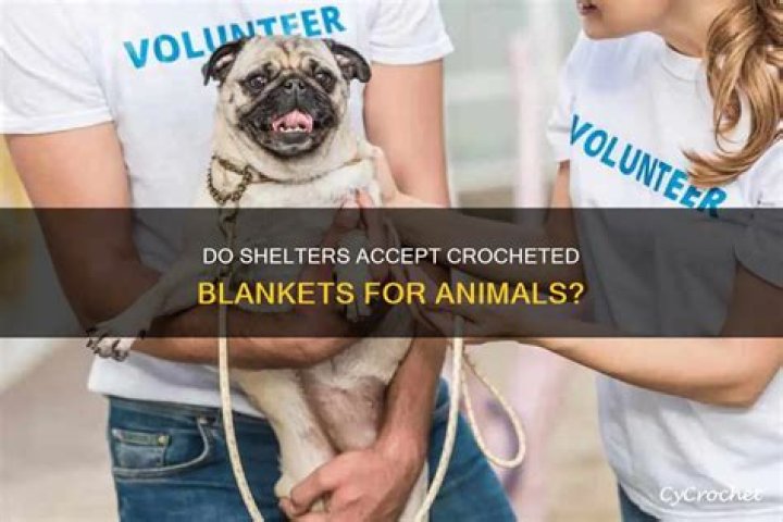 Do animal shelters take blankets?