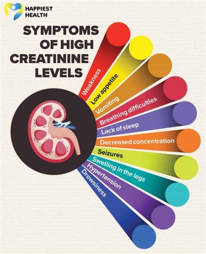 Do athletes have higher creatinine levels?