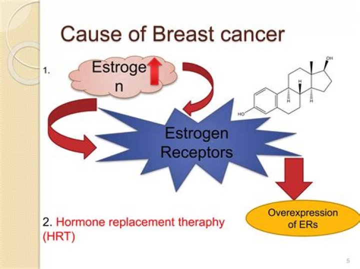 Do phytoestrogens increase cancer risk?