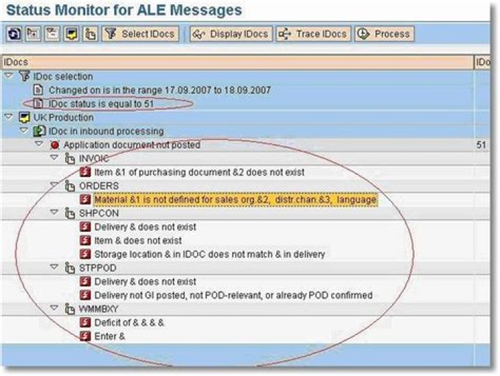 How do you check project status in SAP?