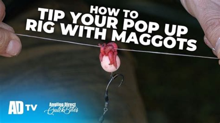 How do you set up a pop up carp rig?
