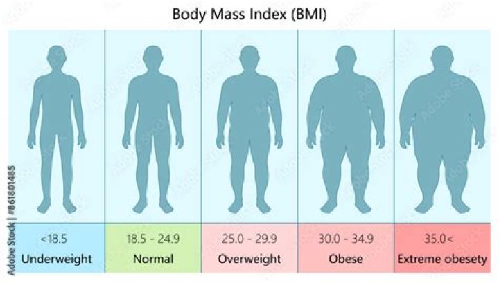 How many pounds is considered overweight?