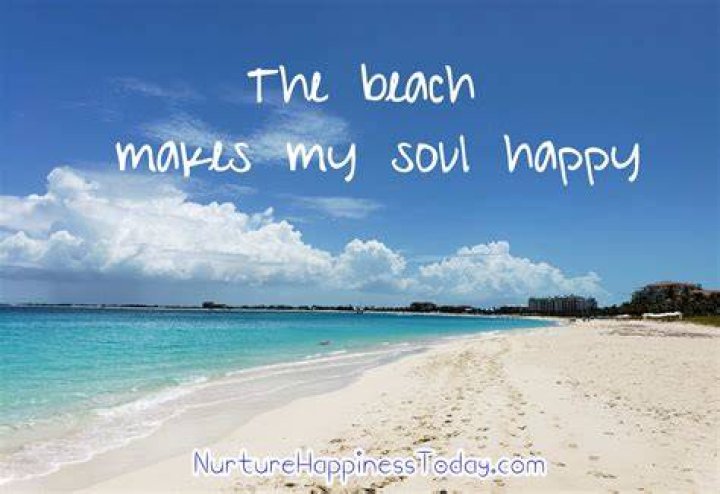 How the beach makes you feel?