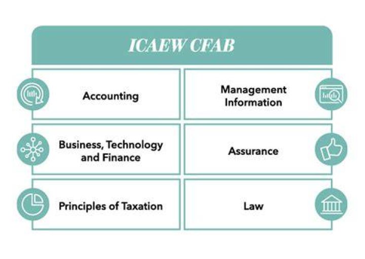 Is Cfab a professional qualification?