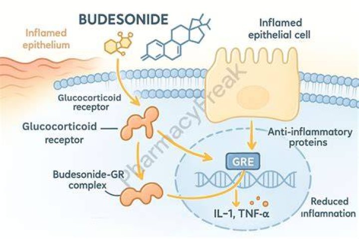 Is ciclesonide the same as budesonide?