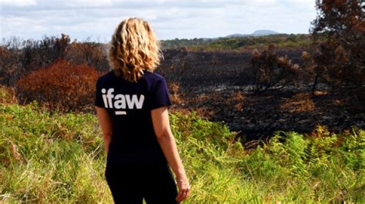 Is IFAW legit?