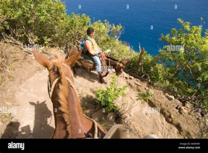 Is the Molokai Mule Ride Open?