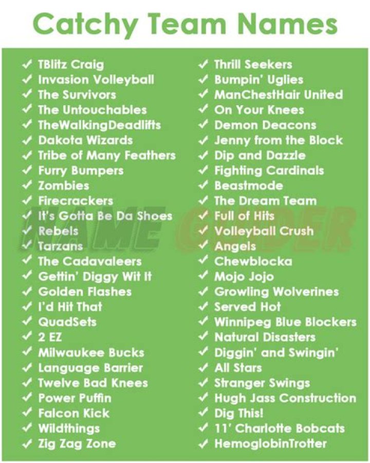What are some catchy team names?