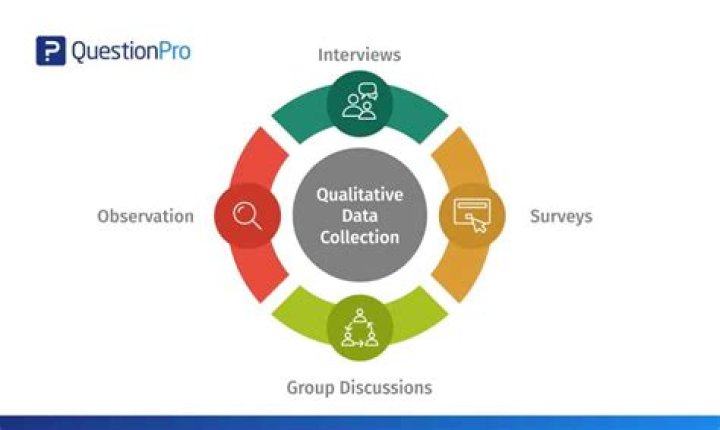 What are the 4 data collection methods in qualitative research?