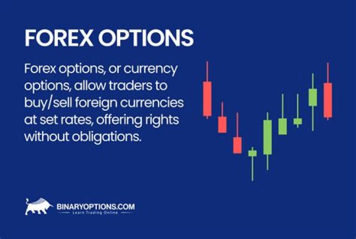 What can FX options be used for?