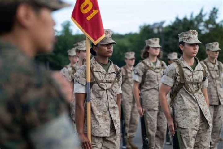 What do Marines call their shorts?