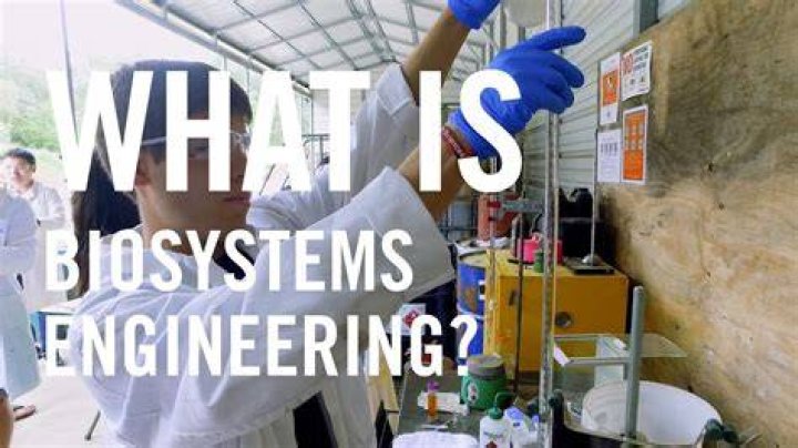 What does a Biosystems engineer do?