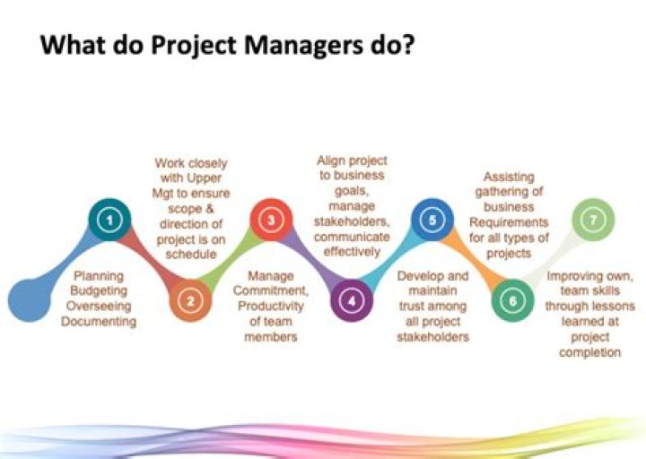 What does a business project manager do?