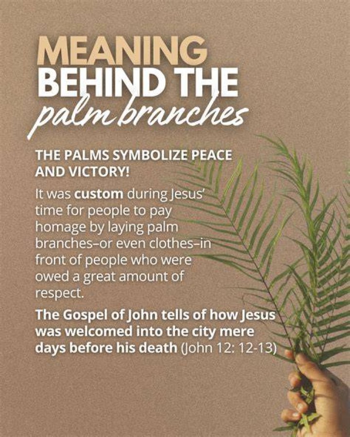 What does palm mean in Hebrew?