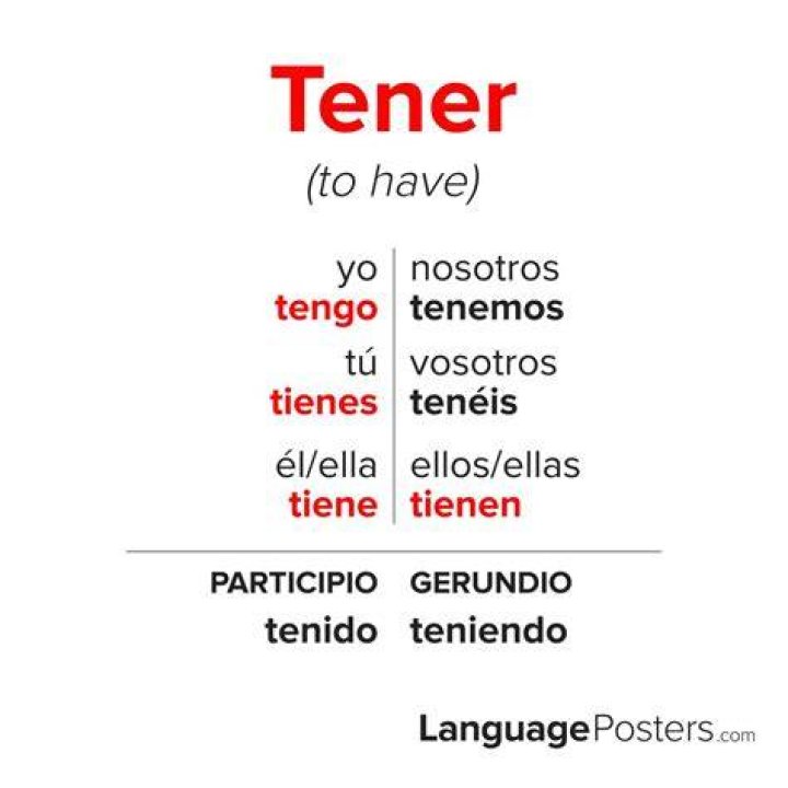 What does the expression tener ganas de mean?