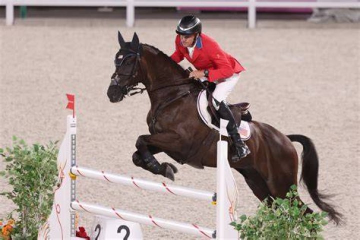 What height do Olympic equestrians jump?