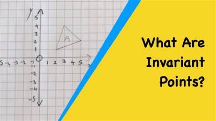 What is a class invariant c++?