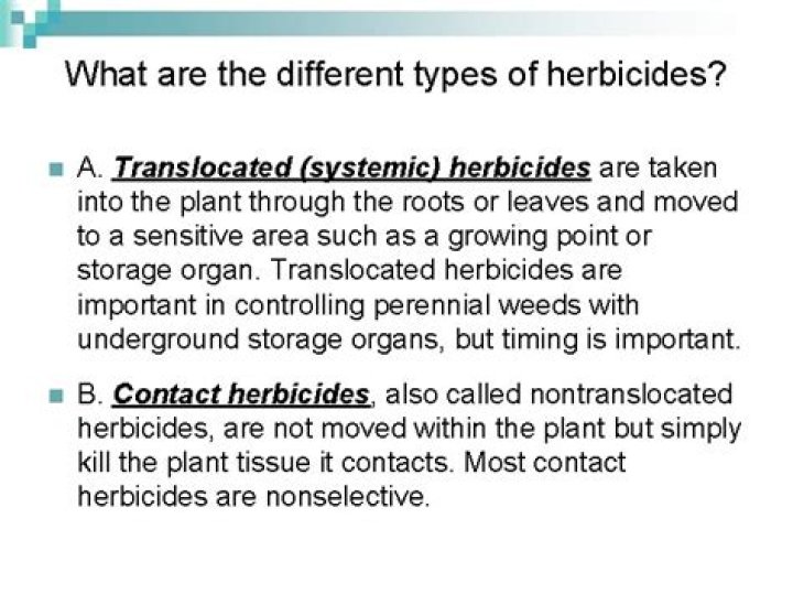What is a translocated herbicide?