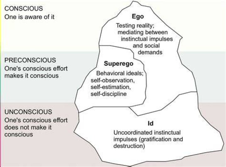 What is ego idealism?