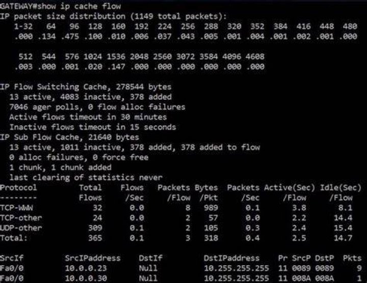 What is ip cache flow?