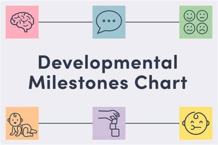 What is milestones of development explain with example?