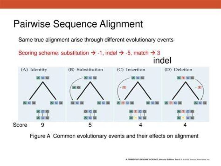 What is pairwise sequence alignment?