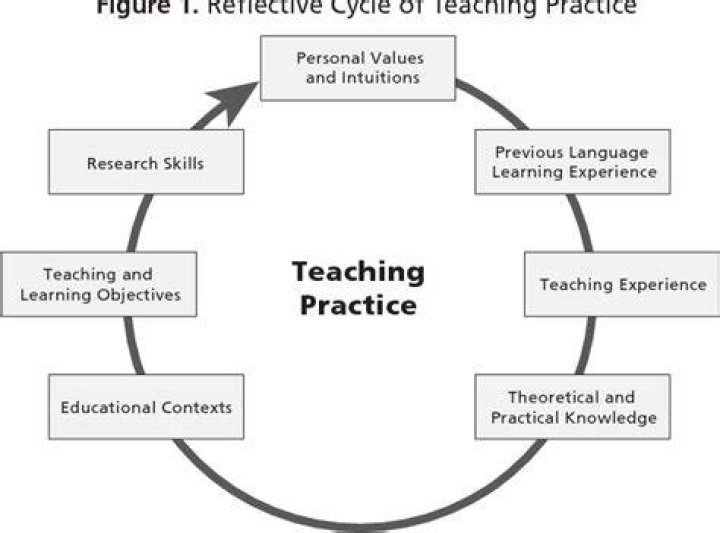 What is practice teaching experience?