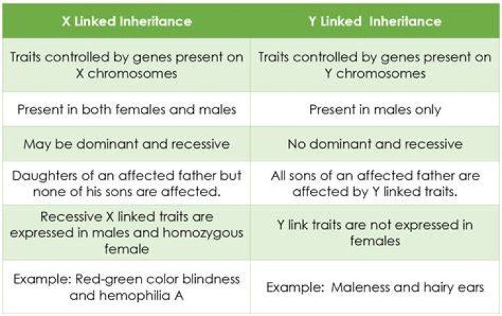 What is the difference between inheritance and delegation?