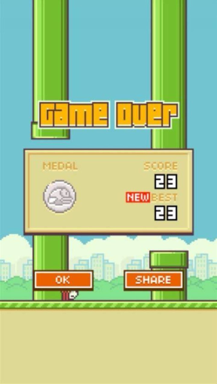 What is the highest score in flappy?