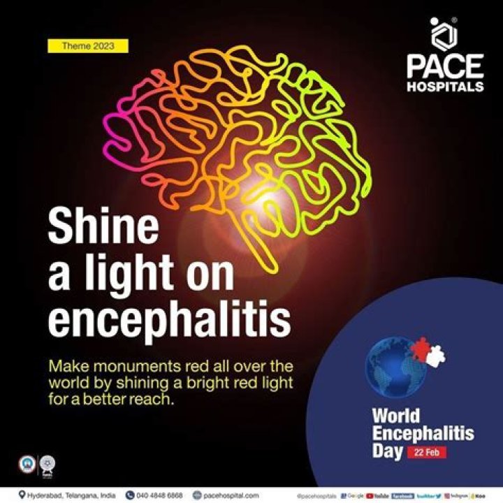 When is World Encephalitis Day?
