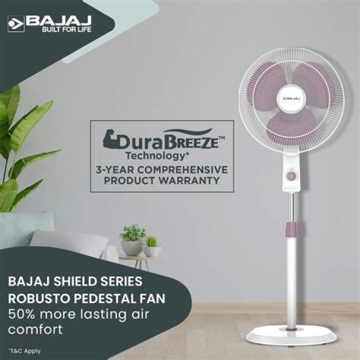 Which Bajaj fan is best?