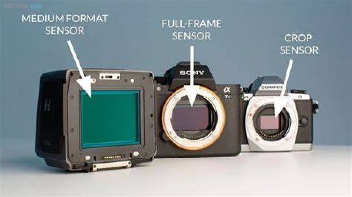 Which is better crop sensor or full frame?