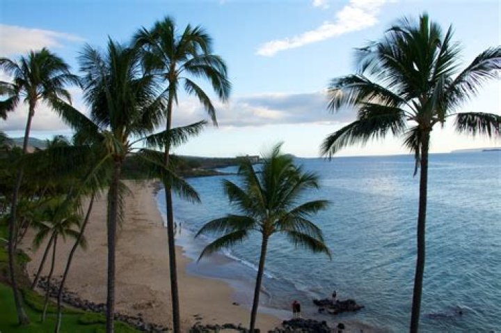 Which Kamaole beach is best?
