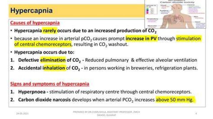 Why is hypercapnia permissive?