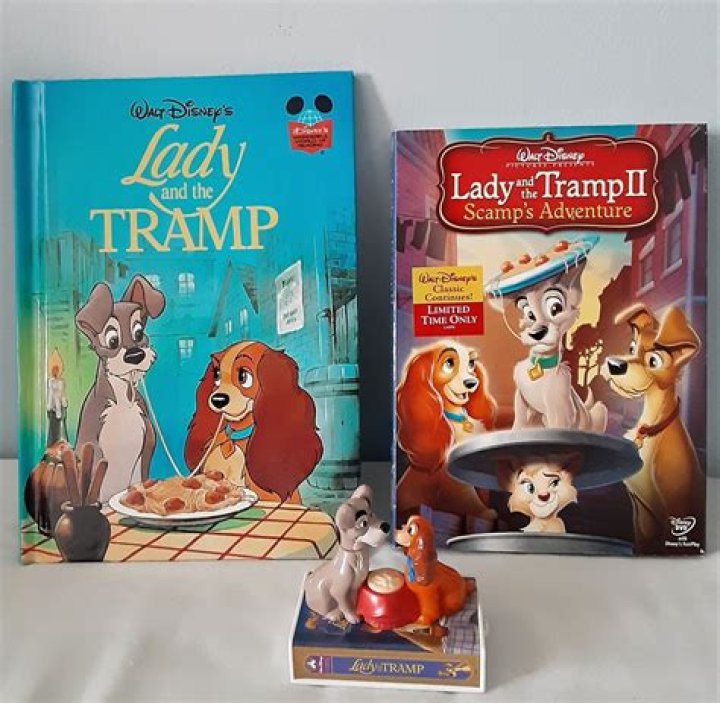 Why is it called Lady and the Tramp?